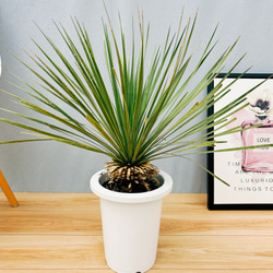 5ca39884bdc7233f1fe6996824dc9d