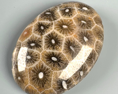 d16b22daee9a363babcba996d00d49