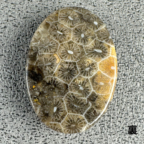 高品質 フォッシルコーラル 珊瑚の化石 25ミリ Tu557 天然石 pinky