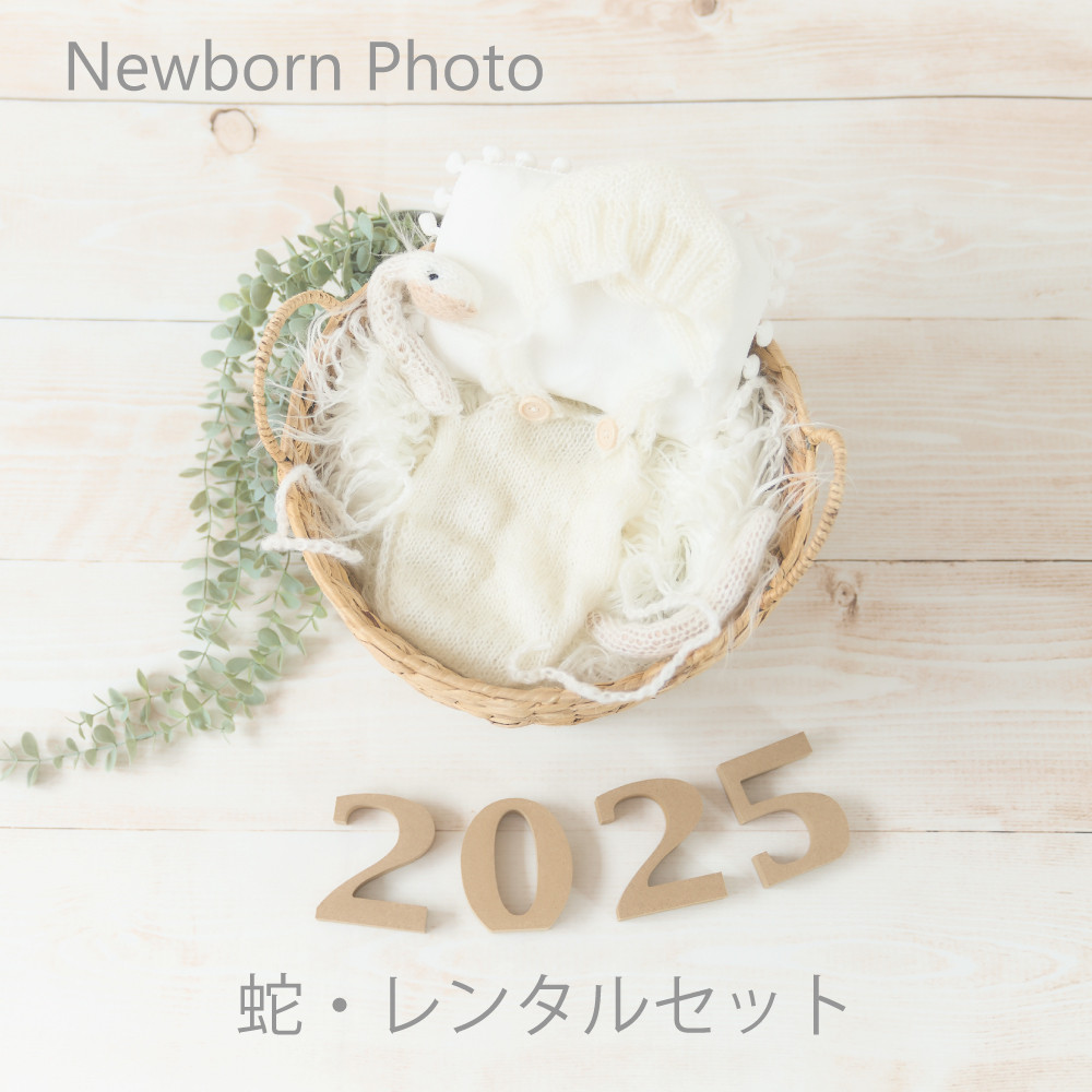 【レンタル】『蛇』ニューボーンフォトセット(カゴ、床、装飾、衣装など)