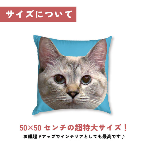 ペット 家族 オリジナルグッズ オーダーメイド わがや 子供 猫 犬 うち