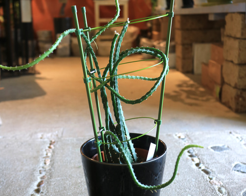 c800a8eb5c8a142f08e05aa0c71695