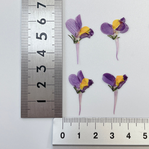 RaRaChiShop♡さま ハンドメイド 通ず カボション オーダー