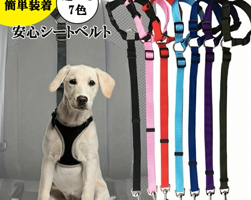 オーダー名前XSグリーン ブルー 6点セット犬 首輪リードハーネス