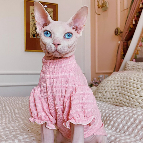 新品　キャットカップ柄ワンピース　ホワイト×ピンク　キャット　ねこ　猫　夏　秋 新品キャットカップ柄ワンピースホワイト×ピンクキャットねこ猫夏秋