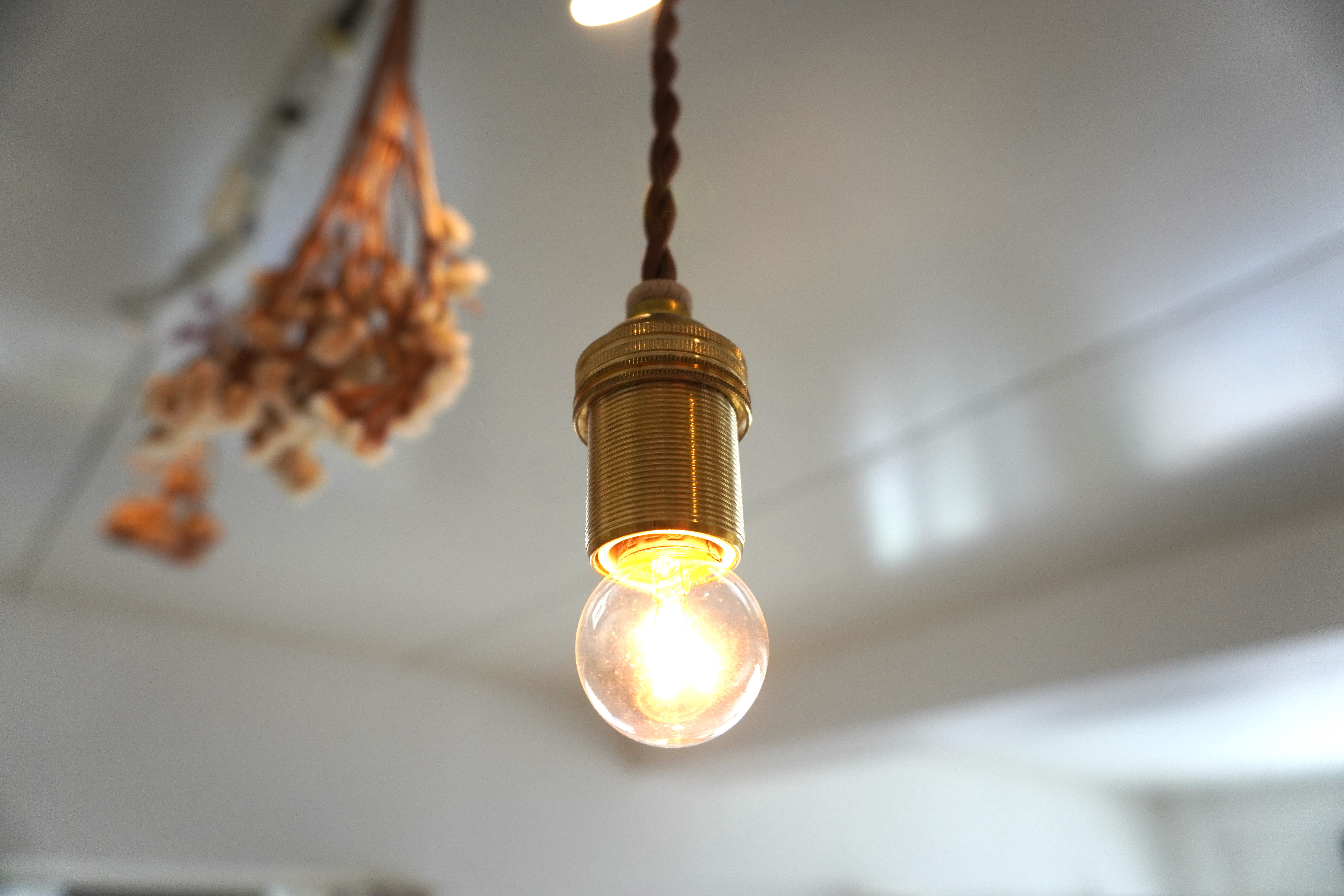 木と真鍮のペンダントライト　ペンダントライト　木製 新品】 ペンダントランプ □真鍮/ペンダント/照明/ライト/木製