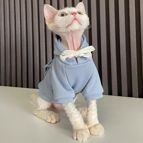 ハンドメイド犬服【隣の芝は猫】 f156b7615c3eaa71ae700c292e5054