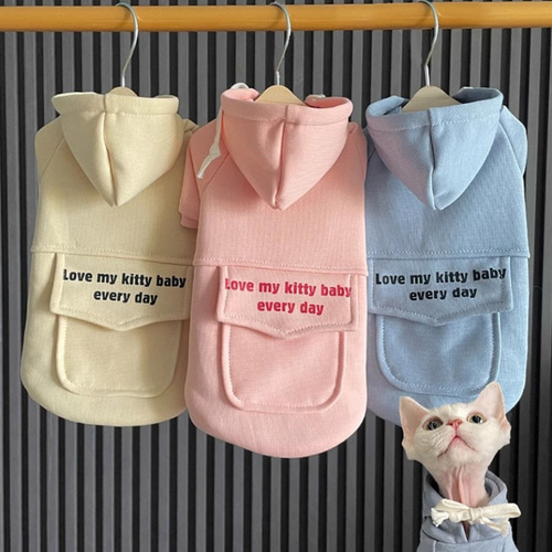 babythree レア特別目ハート目 洋服を着てる子猫 - メルカリ