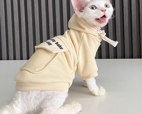 babythree レア特別目ハート目 洋服を着てる子猫 - メルカリ