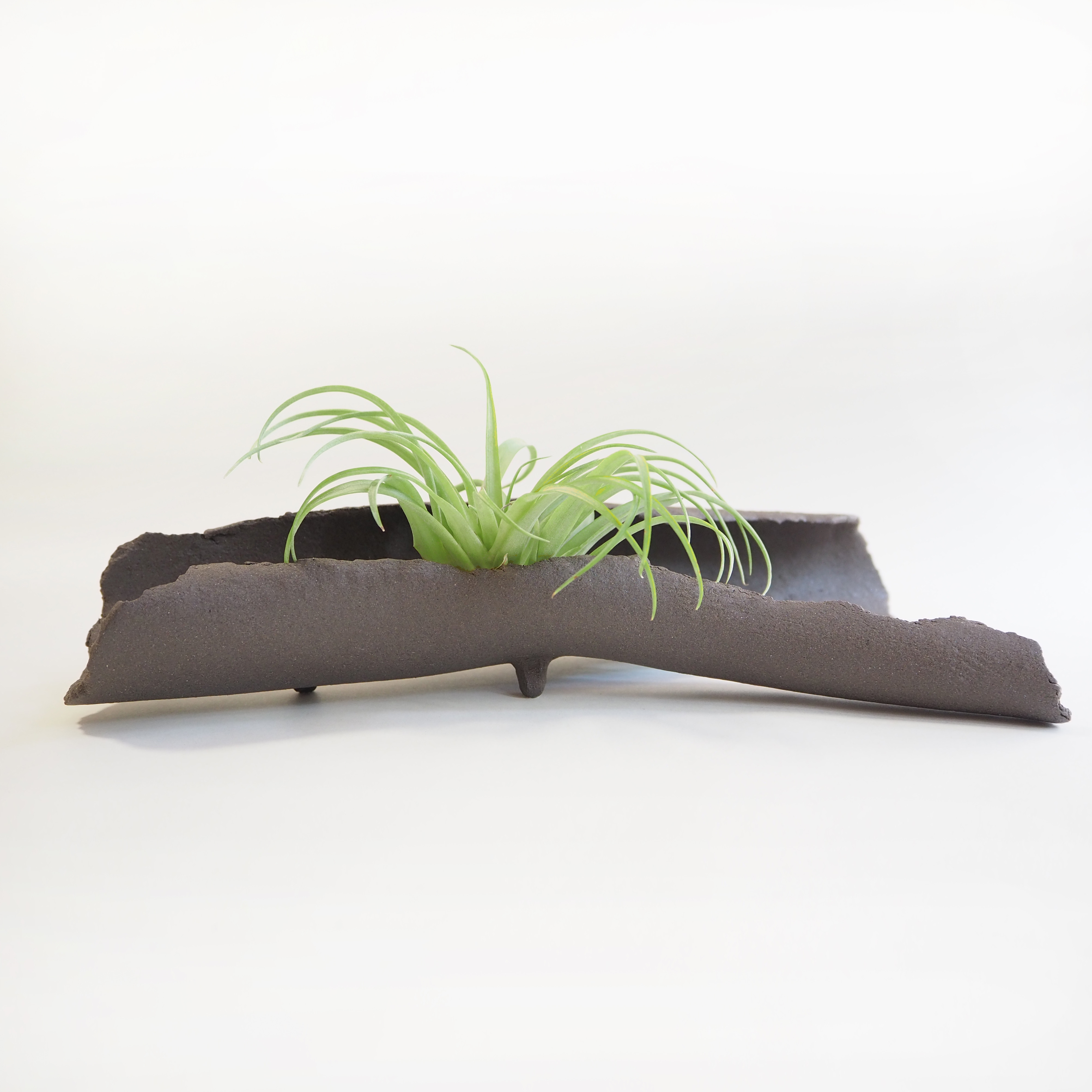 陶器　エアプランツホルダー (L)