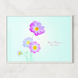 フラワーアート インテリアポスター コスモス 心地よい 風 メッセージ