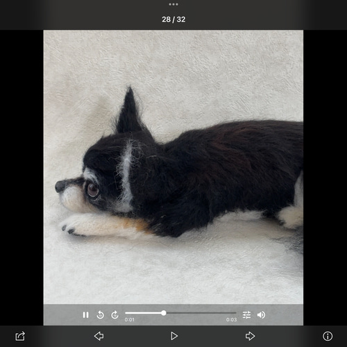 羊毛フェルト【オーダーメイド】うちの子オーダー✴︎犬✴︎愛犬