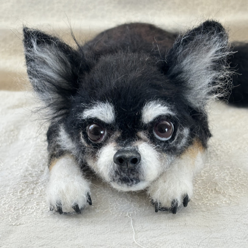 羊毛フェルト【オーダーメイド】うちの子オーダー✴︎犬✴︎愛犬