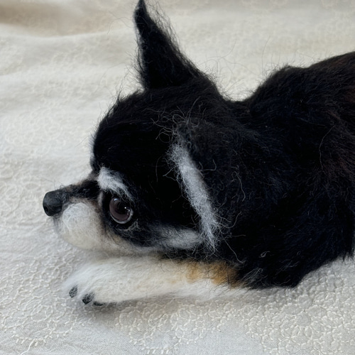 羊毛フェルト【オーダーメイド】うちの子オーダー✴︎犬✴︎愛犬