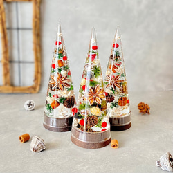 早割クリスマス2024】クリスマスのミニハーバリウム 2本セット♪ ハー