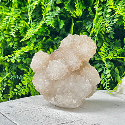 カクタスクォーツ　サボテン水晶　スピリットクォーツ　フラワークォーツ　原石　鉱物 098a12738314dda47d1813b7d19229