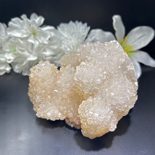 カクタスクォーツ　サボテン水晶　スピリットクォーツ　フラワークォーツ　原石　鉱物 カクタスクォーツ サボテン水晶 スピリットクォーツ フラワー