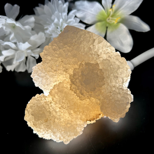 115mm カクタスクォーツ（サボテン水晶）原石 クラスター 大