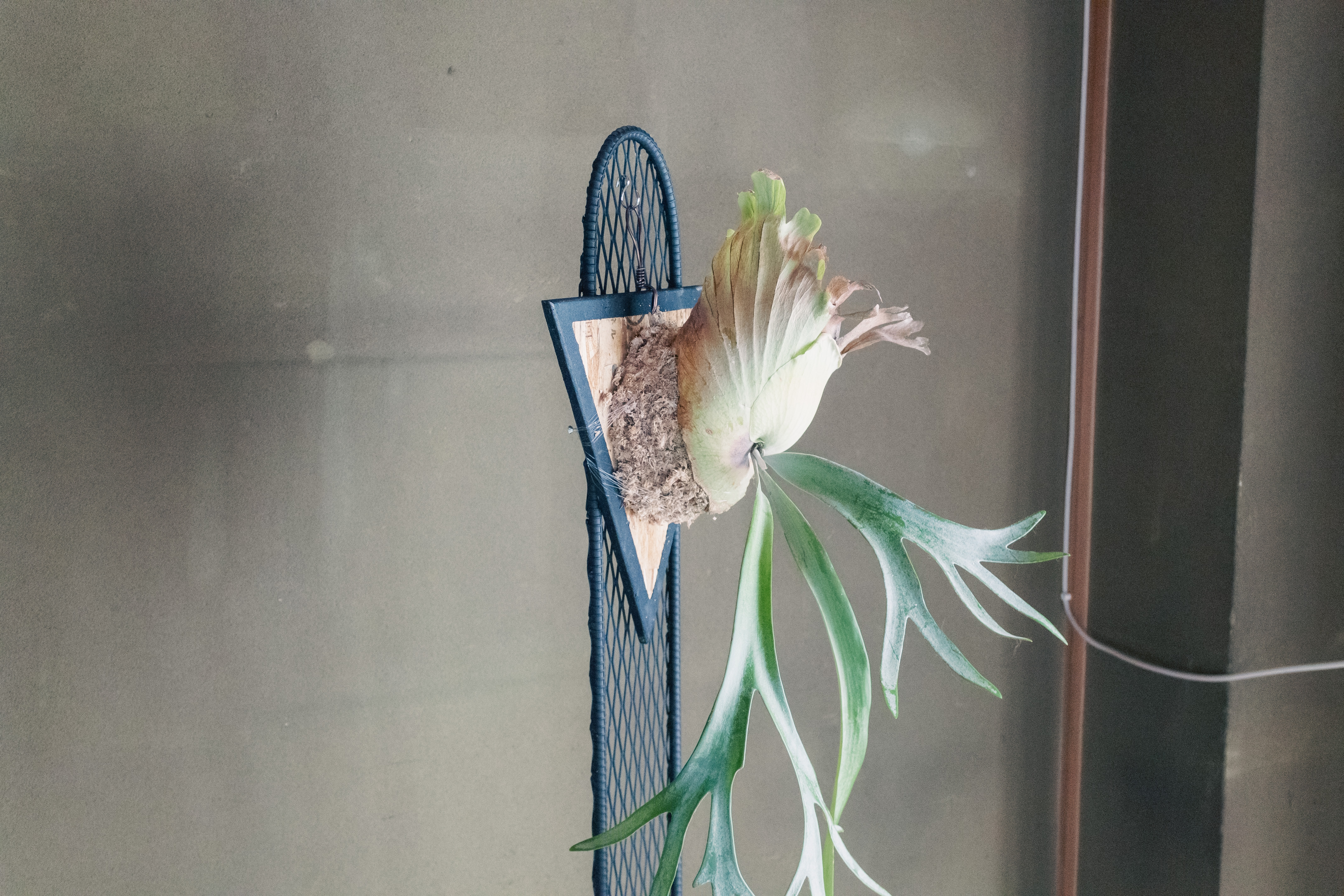 「マンション」鉄筋コンクリート製のアイアンラック。あなたは何を飾りますか？ 24,500円