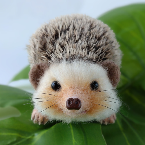 送料無料【森のかくれんぼ名人 ハリネズミのソラくん】羊毛フェルト