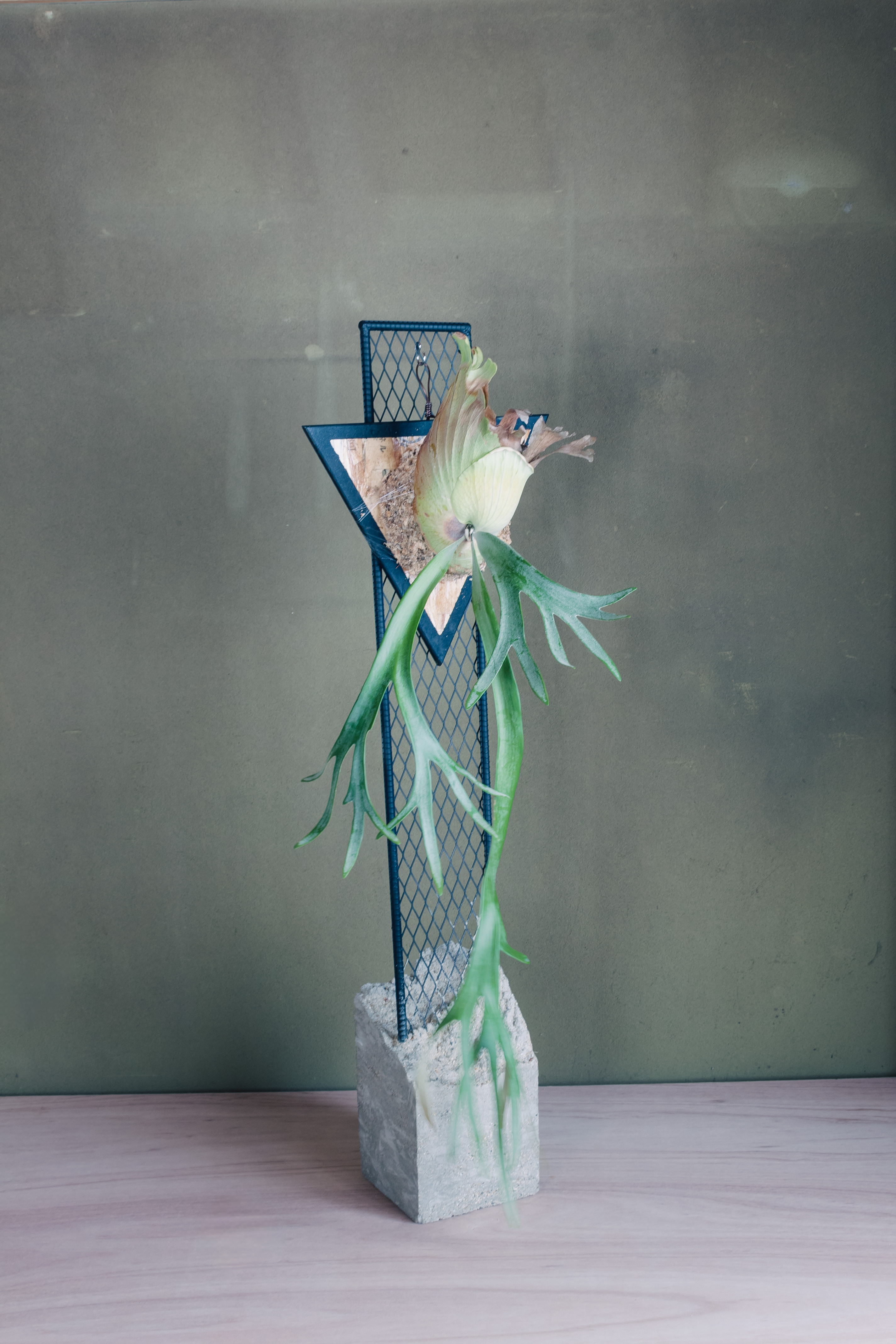 「マンション：角」鉄筋コンクリート製のアイアンラック。あなたは何を飾りますか？