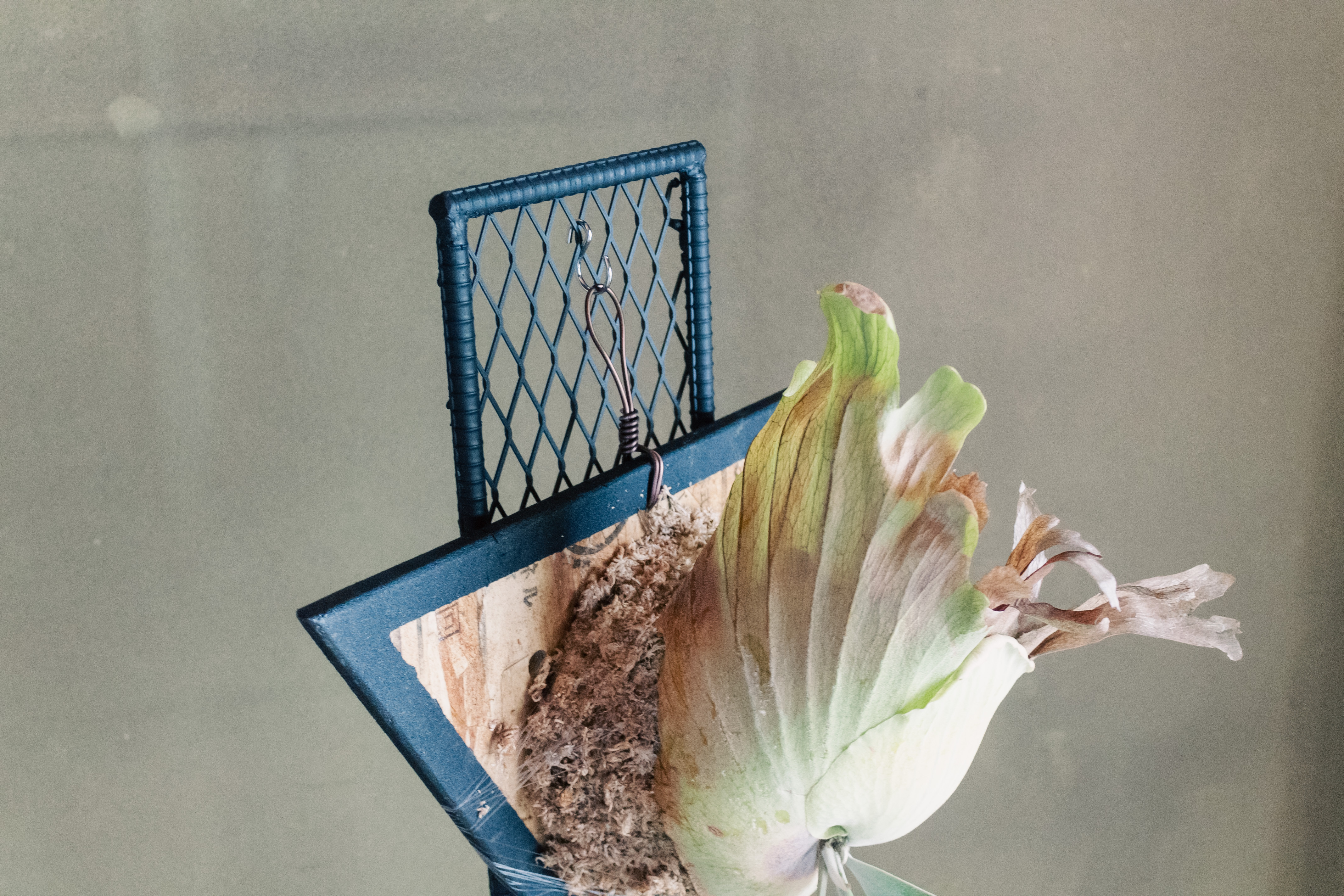 「マンション:角」鉄筋コンクリート製のアイアンラック。あなたは何を飾りますか? 「マンション:角」鉄筋コンクリート製のアイアンラック。あなたは何を飾りますか?