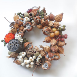 送料無料】Creema限定 木の実たっぷりハロウィンリース① ドライ