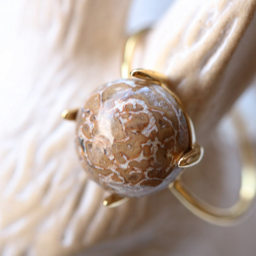 オーダー受付中　恐竜(骨)柄　ダイナソー 楽天市場】化石復元キット ダイナソー ARTEC アーテック 恐竜