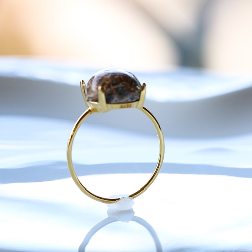 恐竜の骨瑪瑙」ダイナソーボーン 天然石リング9号～15号