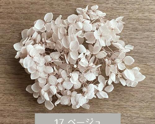 プリザーブドフラワー 花材 アジサイ　10個 楽天市場】プリザーブド 花材 アジサイ 小分け 17色 詰合せ