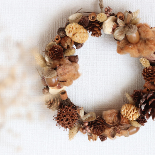 ✳︎木の実のリース✳︎秋冬 リース HELLO FLOWER 通販 18187202