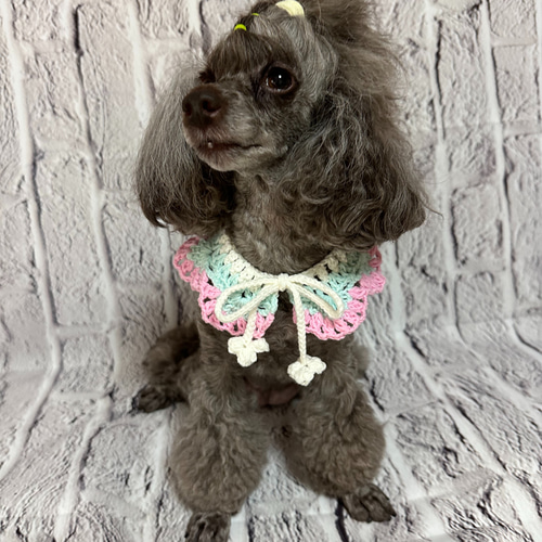 パステルカラーがかわいいかぎ針編みの犬用スタイ＊ペット用付け襟