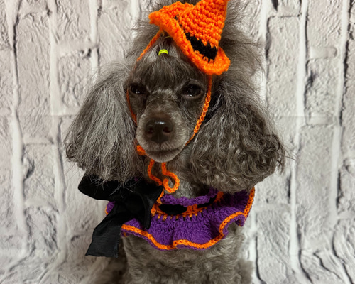 犬服ハロウィン手編みセーター3枚 犬服♪ちょっと複雑なアラン模様のざっくりとした手編みセーター