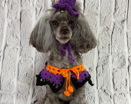 犬服 ハンドメイド 手編み セーター Mサイズ ベージュ ハート
