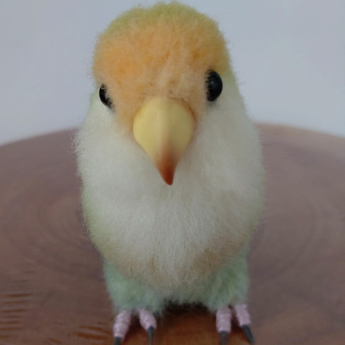 コザクラインコ・ミニサイズ】＊ダッチカラー＊ 羊毛フェルト