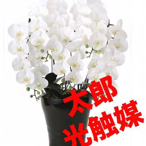 ☆新品箱入☆ETROカフリンクス/ゴールド サファイアブルー&ホワイト  