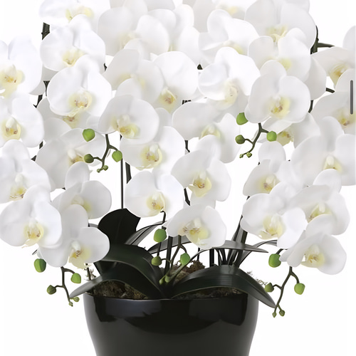 光触媒 人工観葉植物 フェイクグリーン フレッシュ胡蝶蘭5本立W その他 