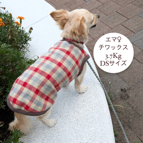ハンドメイド犬服 秋冬用