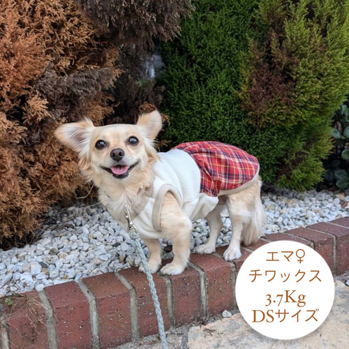 ⑅専用ページ フレブル服 犬服ハンドメイド⑅ 【公式通販】