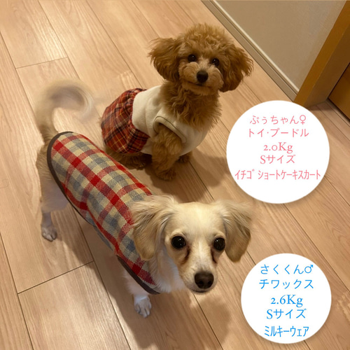 イチゴショートケーキスカート】ハンドメイド犬服 犬冬服 防寒 保温 