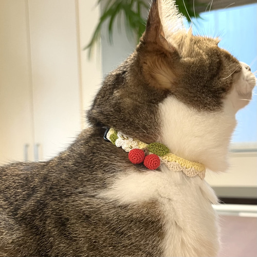 プッチ、春いちご(グリーン)わんちゃん猫ちゃん用襟付き首輪 さくらんぼ柄、わんちゃん猫ちゃん用襟付き首輪 （犬服