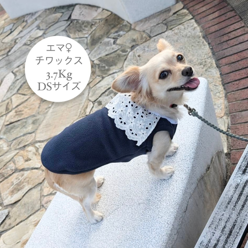 ⑅専用ページ フレブル服 犬服ハンドメイド⑅ 【公式通販】