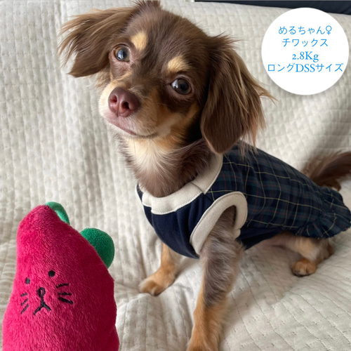 ⑬確認用ページ　冬生地　犬服　ハンドメイド 楽天市場】＼クーポン利用で最大20％OFF！／ペットウェア 犬 服