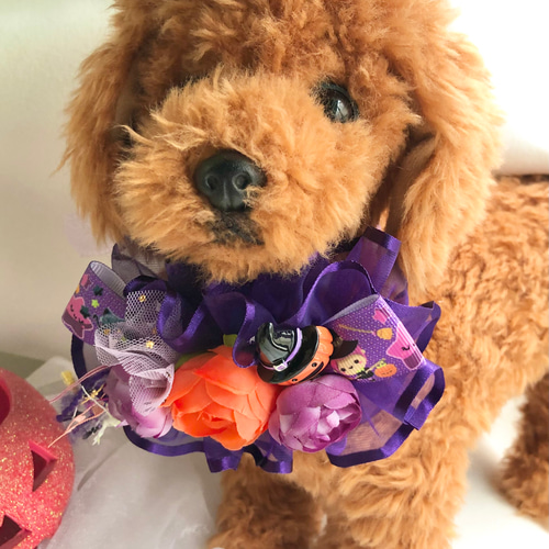 犬猫ハロウィンチョーカー≪紫フリルリボン≫ 写真撮影 トリミング