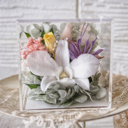 akeページ フライングリース 横長スワッグ 09d3b5969730a27e6b9a72a1d3bd50