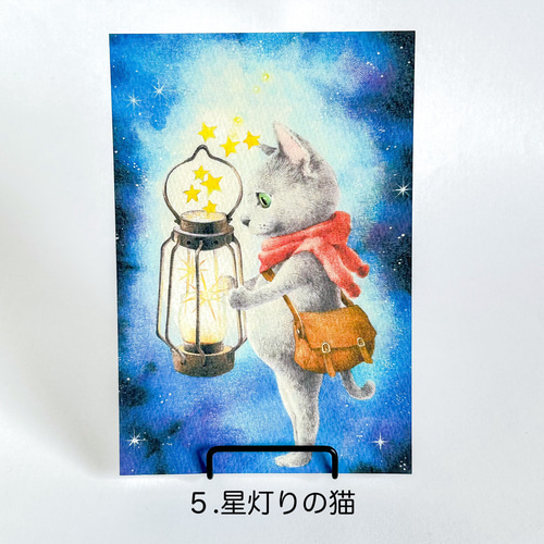 楽しそうな猫がたくさん！選べるポストカードセット ポスト