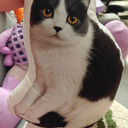 【本州送料無料】オーダーメード枕 写真枕 メモリーギフト誕生プレゼント 記念 オリジナル座布団 クッション【受注制作】 10枚目の画像