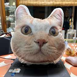 【本州送料無料】オーダーメード枕 写真枕 メモリーギフト誕生プレゼント 記念 オリジナル座布団 クッション【受注制作】 12枚目の画像