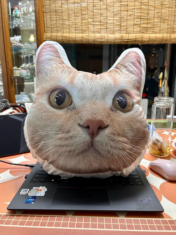 【本州送料無料】オーダーメード枕 写真枕 メモリーギフト誕生プレゼント 記念 オリジナル座布団 クッション【受注制作】 12枚目の画像