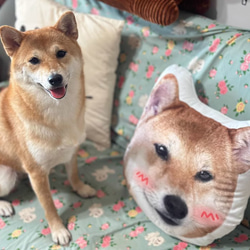 【本州送料無料】オーダーメード枕 写真枕 メモリーギフト誕生プレゼント 記念 オリジナル座布団 クッション【受注制作】 3枚目の画像